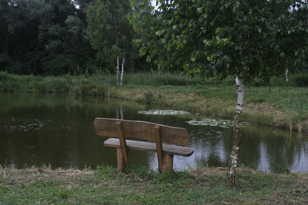 Stajnia Sarnowek Nad Jeziorem Rozany Bed & Breakfast Rozajny Wielkie Exterior photo